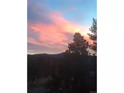 654 S Pine Dr, Bailey, CO 80421 photo 37