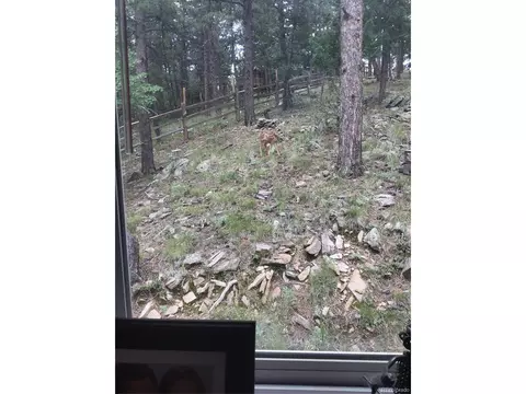 654 S Pine Dr, Bailey, CO 80421 photo 34