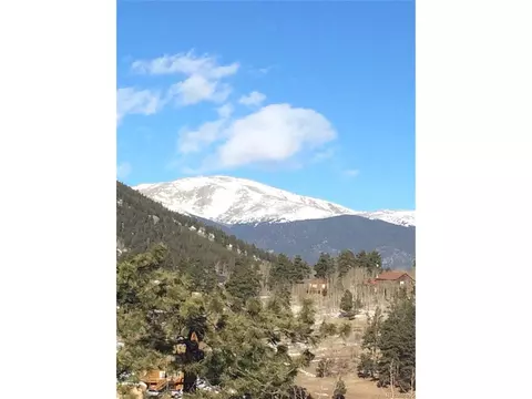 654 S Pine Dr, Bailey, CO 80421 photo 38