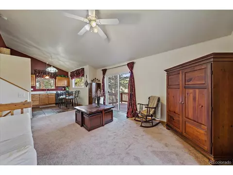 654 S Pine Dr, Bailey, CO 80421 photo 3