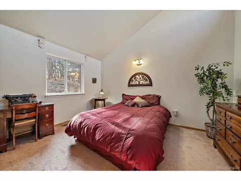 654 S Pine Dr, Bailey, CO 80421 photo 10