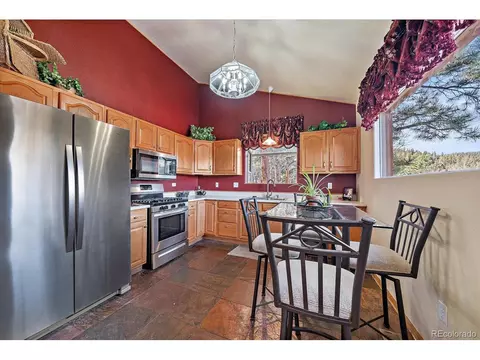 654 S Pine Dr, Bailey, CO 80421 photo 7