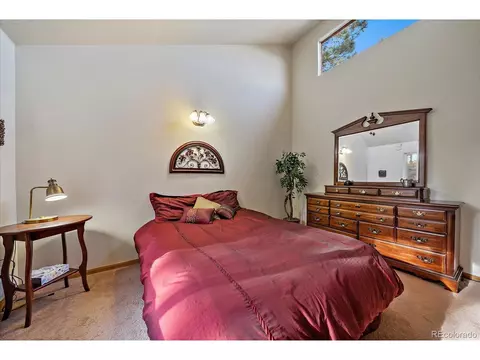 654 S Pine Dr, Bailey, CO 80421 photo 11