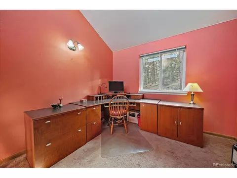 654 S Pine Dr, Bailey, CO 80421 photo 13