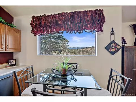 654 S Pine Dr, Bailey, CO 80421 photo 9