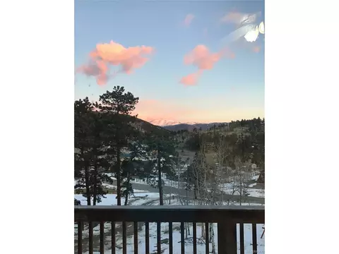 654 S Pine Dr, Bailey, CO 80421 photo 33