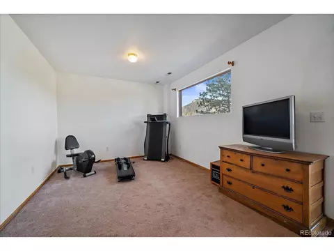 654 S Pine Dr, Bailey, CO 80421 photo 20