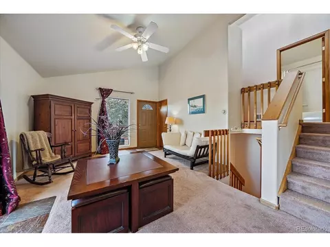 654 S Pine Dr, Bailey, CO 80421 photo 5