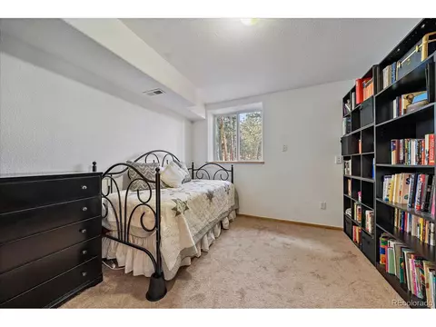 654 S Pine Dr, Bailey, CO 80421 photo 15