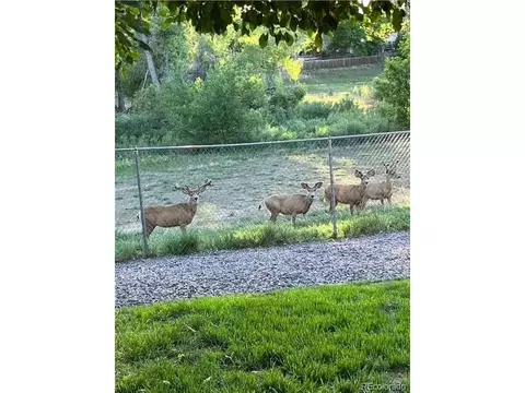 Other - 15953 E Baltic Pl, Aurora, CO 80013 photo 5 of 5