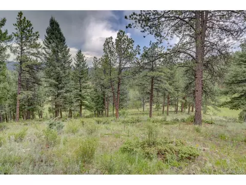 13662 Douglas Ranch Dr, Pine, CO 80470 photo 38
