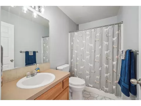 4304 Paintbrush Dr, Evans, CO 80620 photo 20
