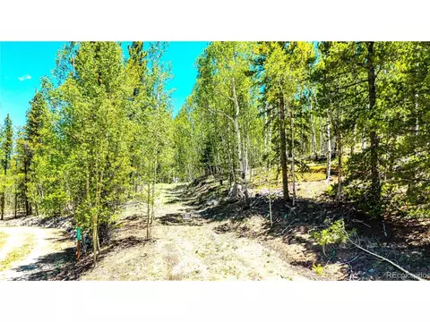 134 Prospect Dr, Alma, CO 80420