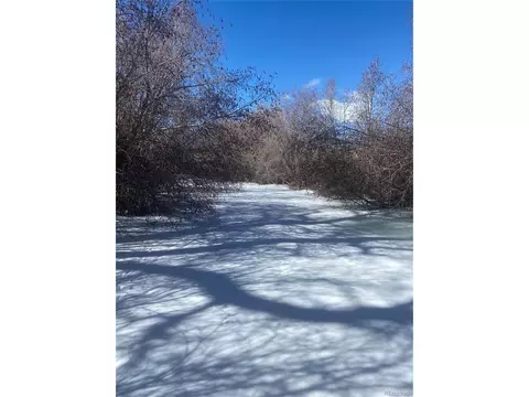 Alamosa River Lane, La Jara, CO 81142
