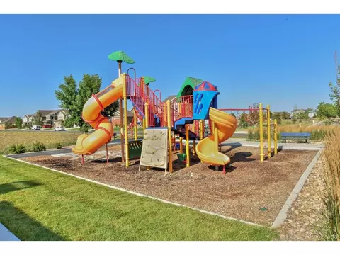 6317 Ruby Hill Dr, Erie, CO 80516 photo 44