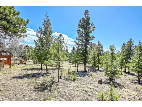 1392 Tapadero Rd, Bailey, CO 80421 photo 33