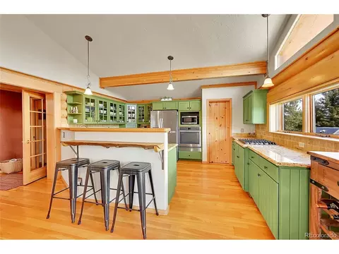 1392 Tapadero Rd, Bailey, CO 80421 photo 11