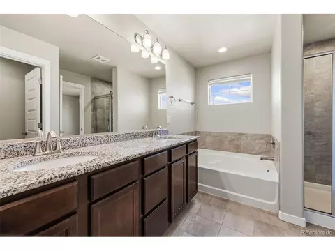 Bath - 5562 Clarence Dr, Windsor, CO 80550 photo 4 of 5