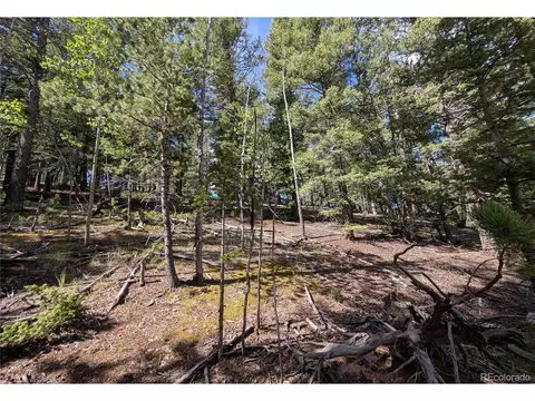 60 Fluorite Ln, Divide, CO 80814 photo 8
