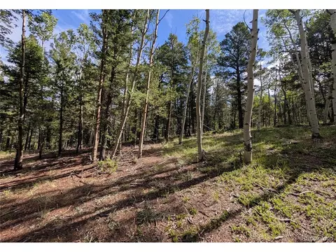 60 Fluorite Ln, Divide, CO 80814 photo 4