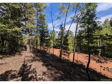 60 Fluorite Ln, Divide, CO 80814 photo 7