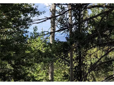 60 Fluorite Ln, Divide, CO 80814 photo 5