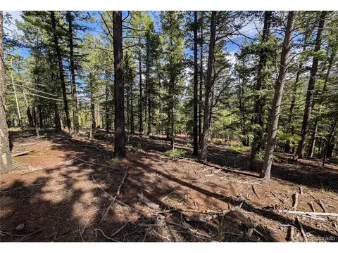 60 Fluorite Ln, Divide, CO 80814 photo 10