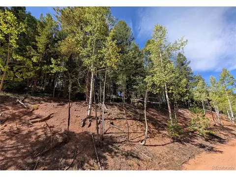 60 Fluorite Ln, Divide, CO 80814 photo 2