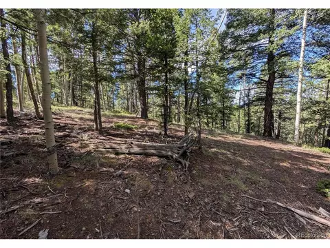 60 Fluorite Ln, Divide, CO 80814