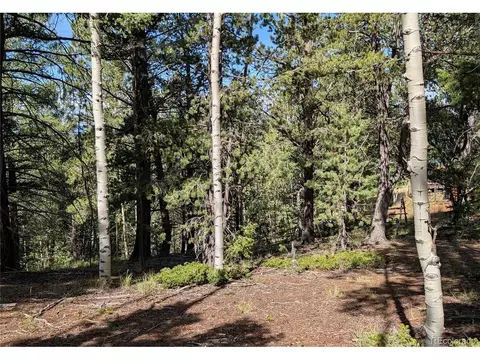 60 Fluorite Ln, Divide, CO 80814 photo 11