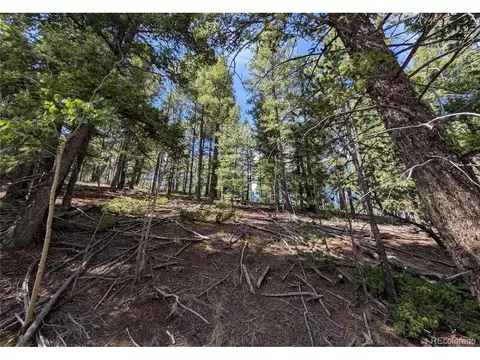 60 Fluorite Ln, Divide, CO 80814 photo 9