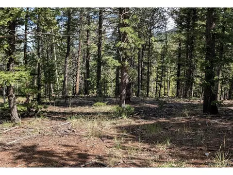 60 Fluorite Ln, Divide, CO 80814 photo 6