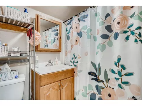 910 Pleasant St, Boulder, CO 80302 photo 20