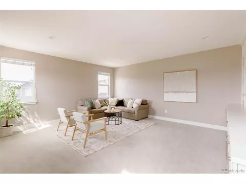 8409 E 54th Ave, Denver, CO 80238 photo 31