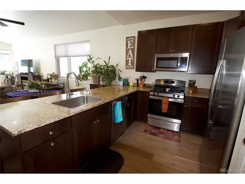 267 Haymaker St, Silverthorne, CO 80498 photo 4