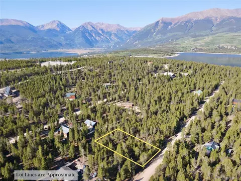 479 Birch Dr, Twin Lakes, CO 80461