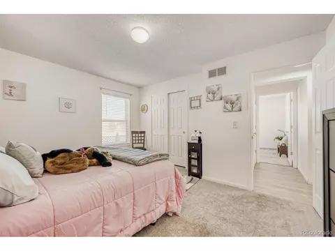 7055 Buckboard Dr, Peyton, CO 80831 photo 19