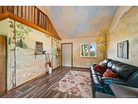 504 Valley Dr, Divide, CO 80814 photo 8