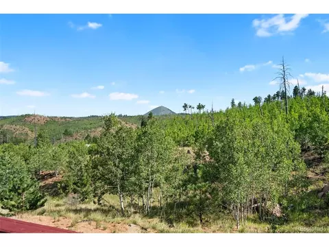 504 Valley Dr, Divide, CO 80814 photo 27
