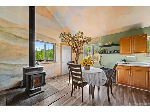 504 Valley Dr, Divide, CO 80814 photo 10