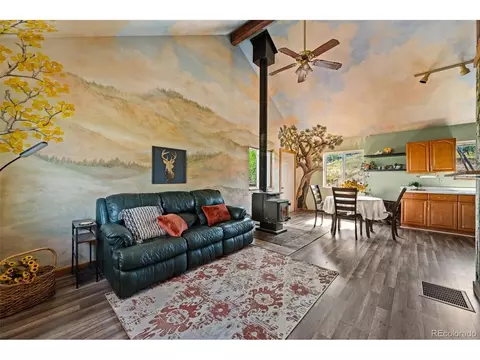 504 Valley Dr, Divide, CO 80814 photo 6