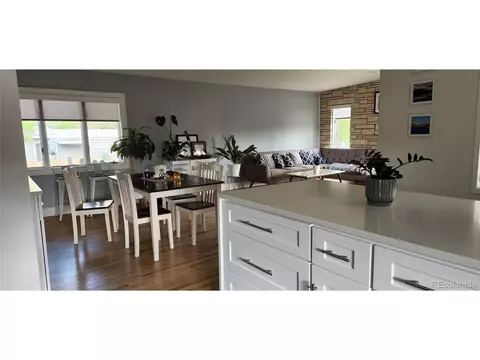 1601 E 86th Pl, Denver, CO 80229 photo 14