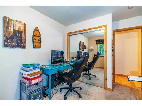 260 Thunder Ln, Como, CO 80432 photo 18