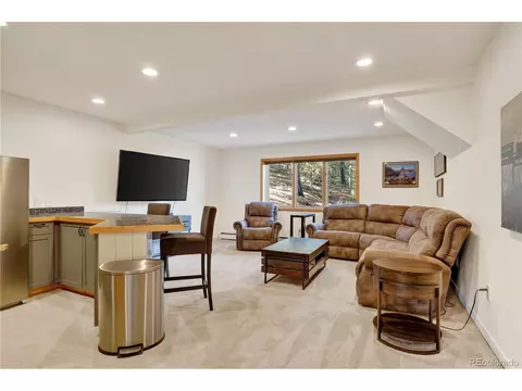 Living - 203 Valley View Ln, Pine, CO 80470 photo 3 of 4