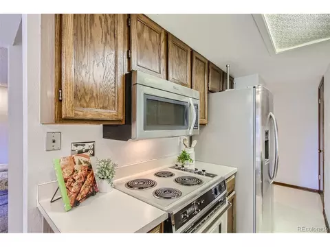 2959 E 123rd Ave, Thornton, CO 80241 photo 9