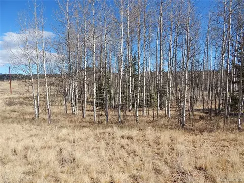 463 Arrowhead Dr, Como, CO 80432 photo 25