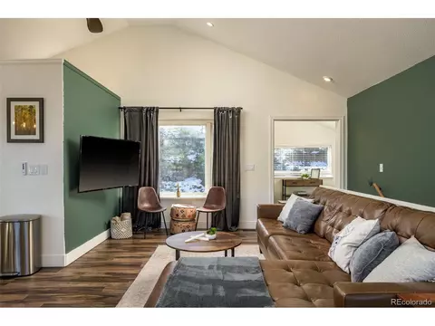 477 Mount Bailey Dr, Bailey, CO 80421 photo 5