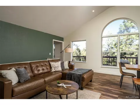 477 Mount Bailey Dr, Bailey, CO 80421 photo 7