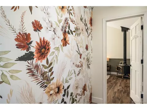 477 Mount Bailey Dr, Bailey, CO 80421 photo 33