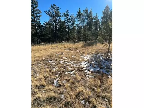 185 Haystack Rd, Hartsel, CO 80449 photo 11